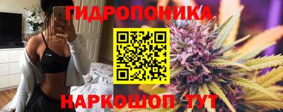 гидропоника Балашиха