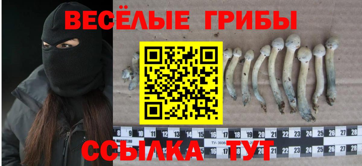 Галлюциногенные грибы мицелий Брянск